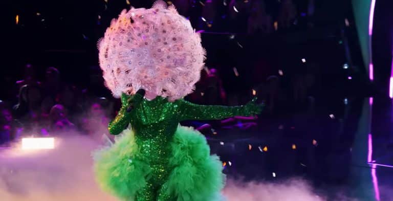 Who Is Dandelion On ‘The Masked Singer’: All The Clues