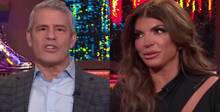 Who Does Andy Cohen Want To Face Off With Teresa Giudice?