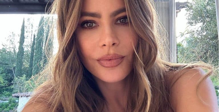 Sofia Vergara Leaves Fans Speechless In Blush Lace Corset