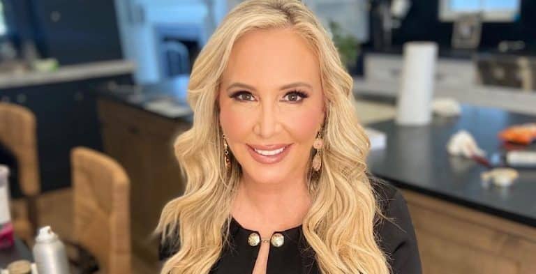 Did Sparks Fly When Shannon Beador Reunited With David?