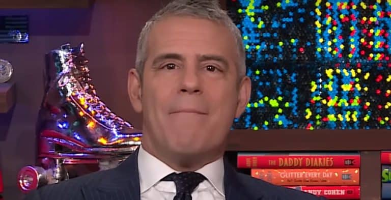 Is Andy Cohen Bringing Back Other Housewives Franchises?
