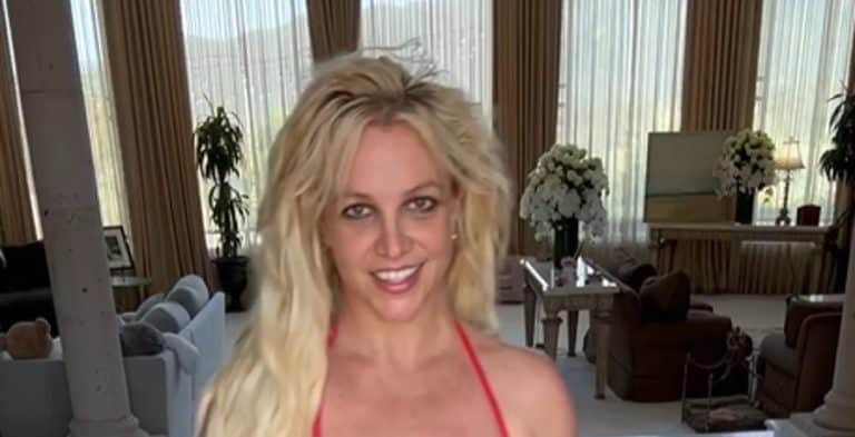 Nauseous Britney Spears Pregnant Again?