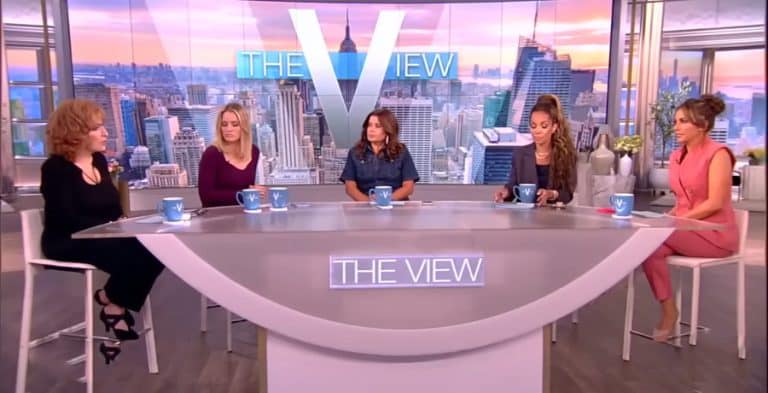 Fans Concerned 'The View' Hosts Have Quit Show