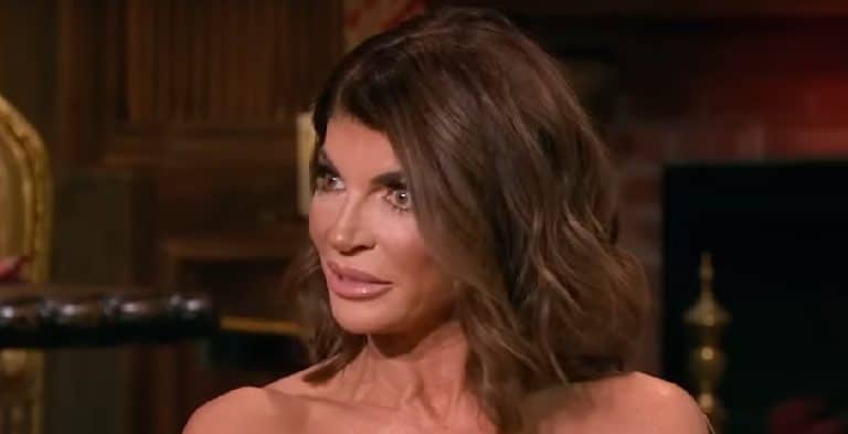 How Teresa Giudice Plans To Make Filming Work With Melissa