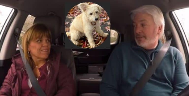 Horrified Amy Roloff Says Dog, Daisy Fell Out Moving Car Window