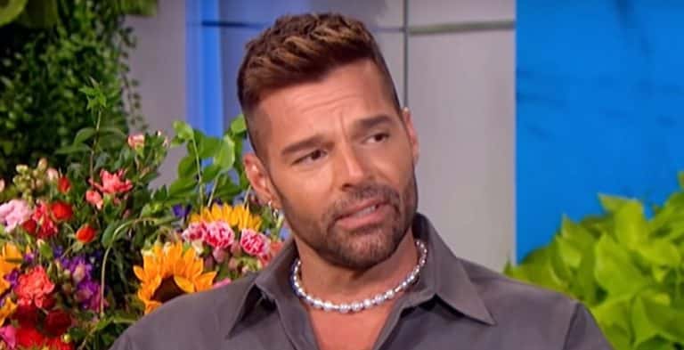 Ricky Martin Youtube