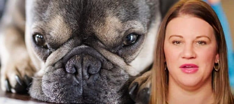 Danielle Busby Shares Furbaby, Beaux ‘Looks Like He’s Dying’