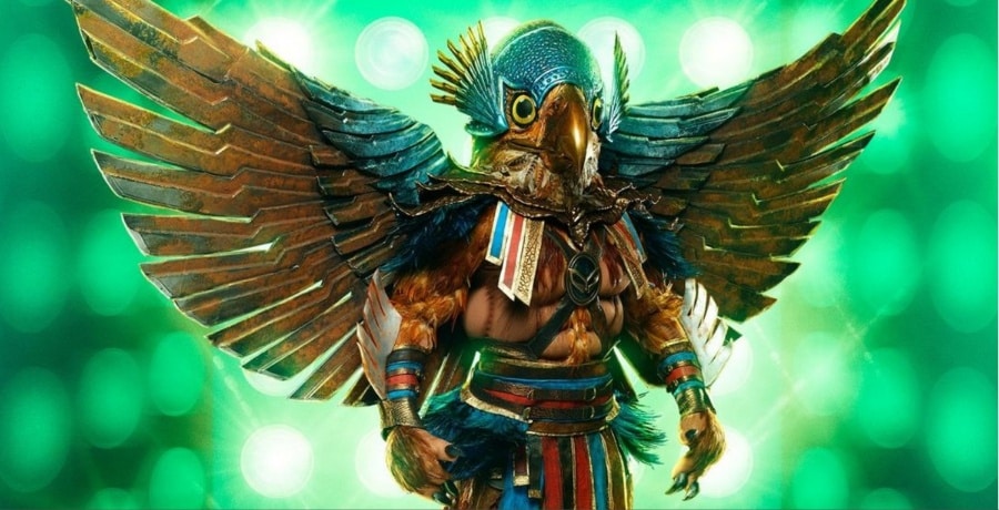Hawk on The Masked Singer IG