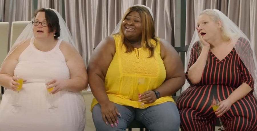 Ashely Sutton, Vannessa Cross, and Tina Arnold from 1000-Lb Best Friends, TLC Sourced from YouTube