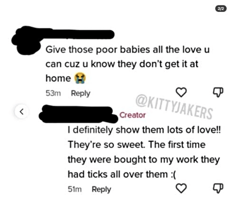 Alleged TikTok Comments About Jenelle Evans dogs Shared On Reddit