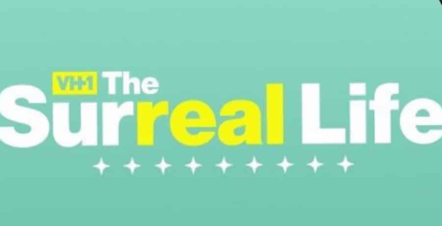 The Surreal Life Logo-Instagram