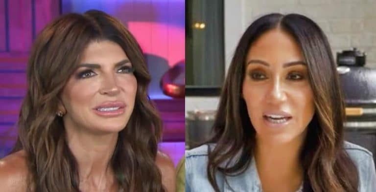 Teresa Giudice, Melissa Gorga-YouTube