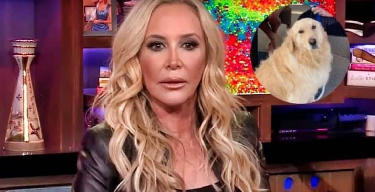 Shannon Beador Being Investigated For Animal Cruelty