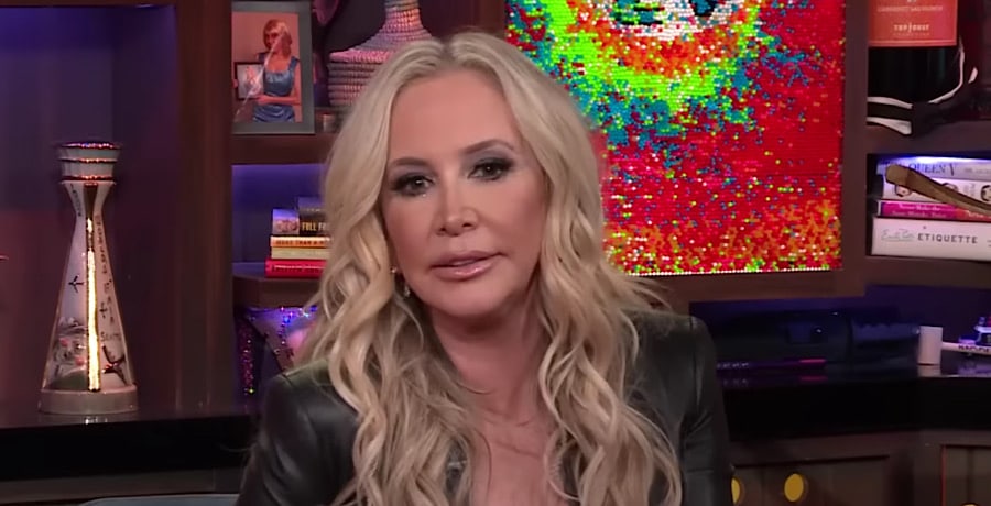 Shannon Beador Sentenced For DUI, What’s Her Punishment?