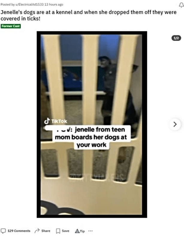 Teen Mom Jenelle Evans' Dogs Are Being Neglected Reddit