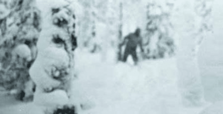 Discovery Teases Stunning New Details In ‘Yeti Massacre’