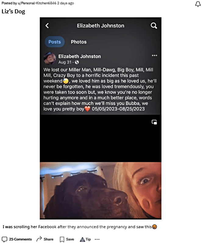 7 Little Johnstons Liz Johnston Shares Devastating Loss Facebook via Reddit