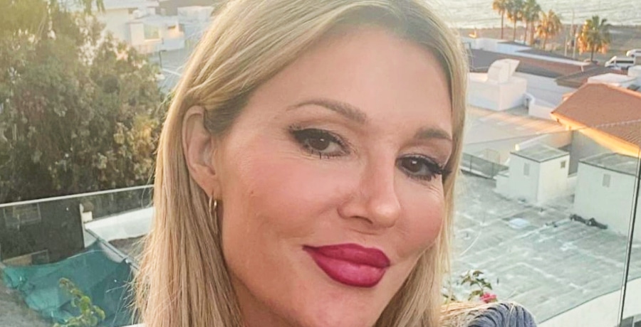 Bravo's The Real Housewives of Beverly Hills (RHOBH) star Brandi Glanville - Instagram