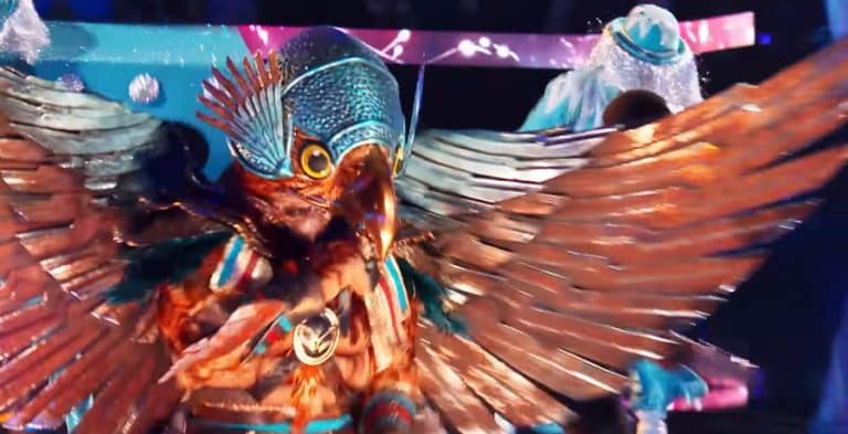 ‘The Masked Singer’: Who Is Hawk? All The Hints And Clues