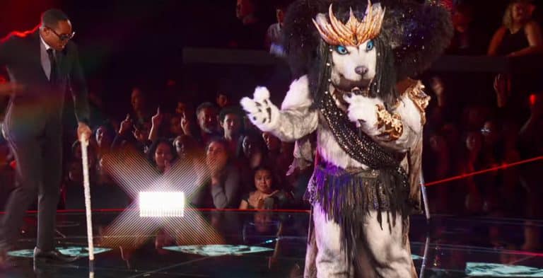 ‘The Masked Singer’: Who Is Husky? All The Hints And Clues