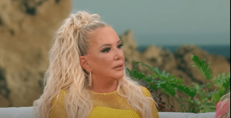 Will Shannon Beador’s Arrest Keep Her From Her Tour?