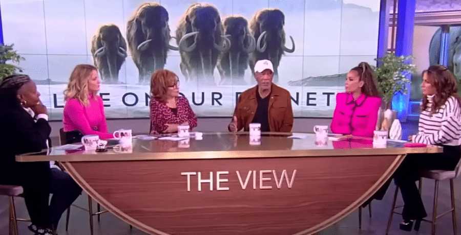 Morgan Freeman appears on The View | Courtesy of ABC