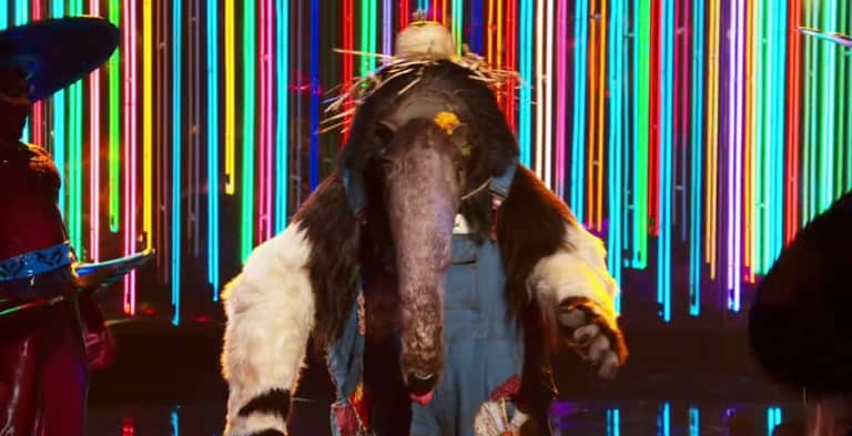 ‘The Masked Singer’: Who Is Anteater, All The Clues And Hints