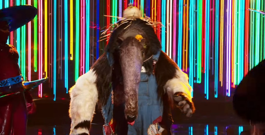 Anteater on The Masked Singer / YouTube