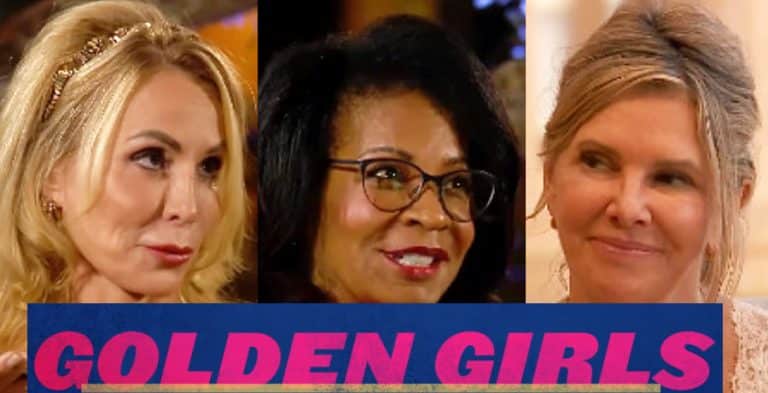 Rejected ‘Golden Bachelor’ Contestants Pitch ‘Golden Girls’ Reboot