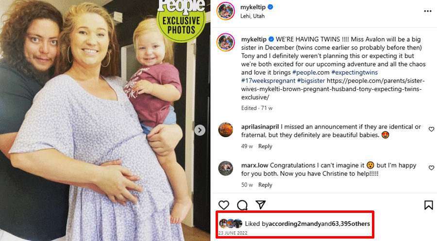 Sister Wives Mykelti Brown Padron twins announcement - Instagram