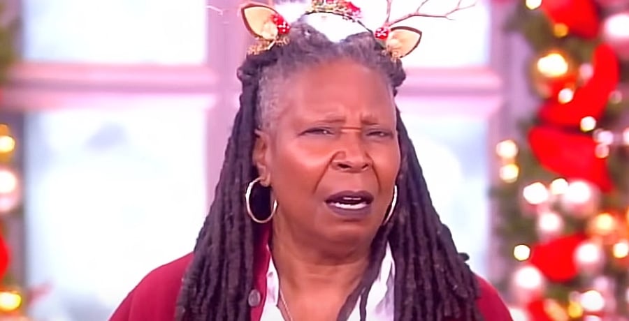 Whoopi Goldberg, The View