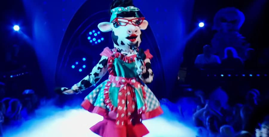 Cow on The Masked Singer / YouTube