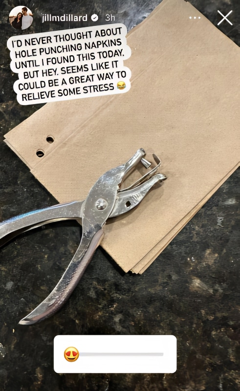 Jill Duggar Shares Hole Punching - Instagram Via Reddit