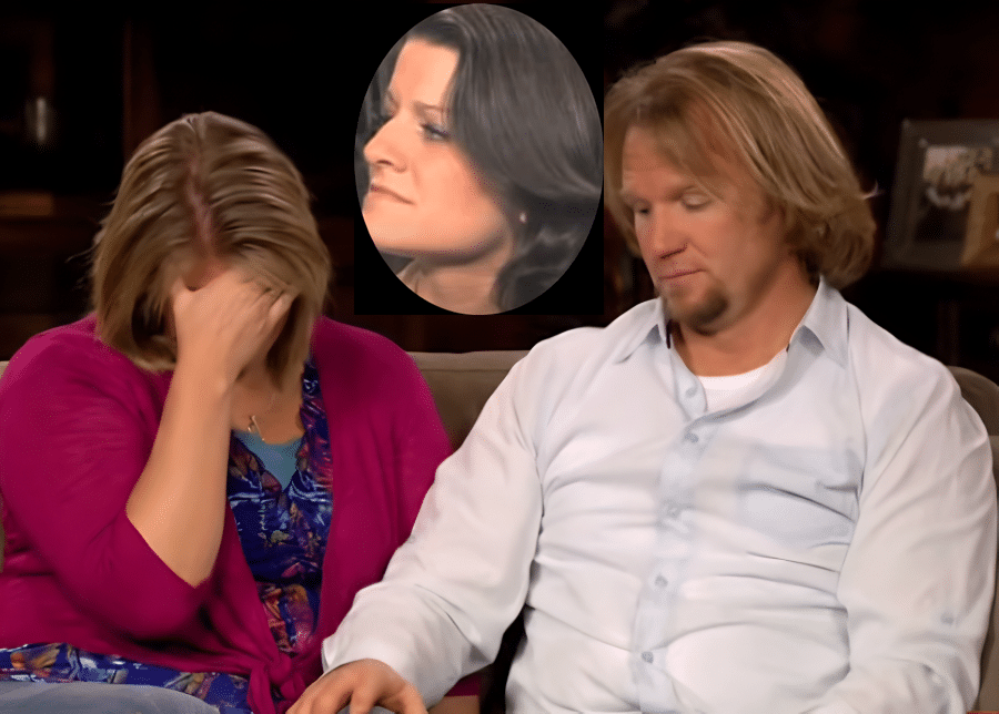 Sister Wives - Robyn Brown's Baby Offer To Meri - TLC YouTube
