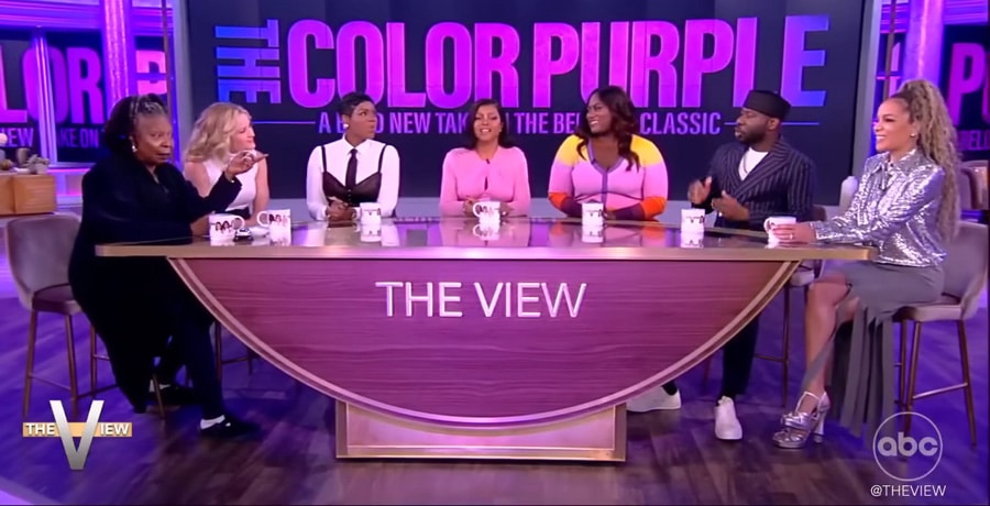 The Color Purple on The View without Oprah Winfrey / YouTube