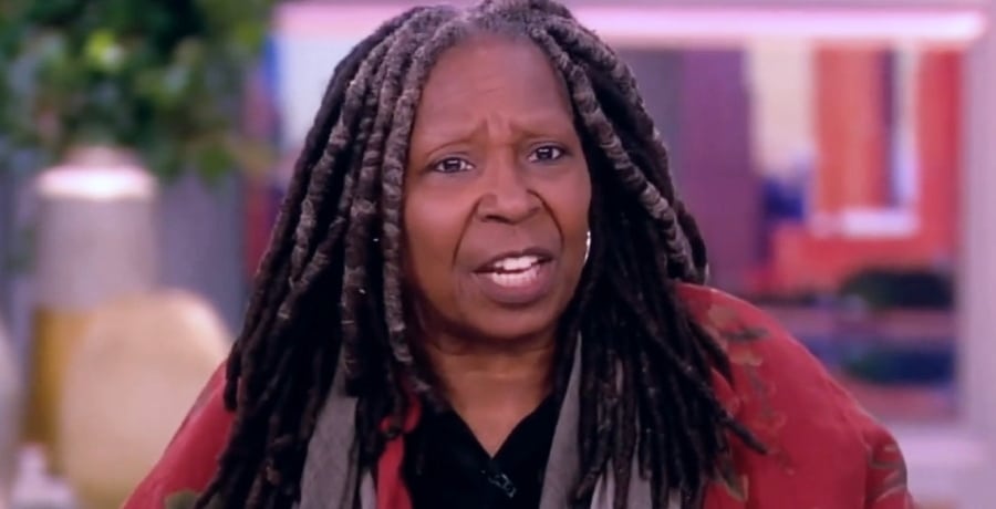 Whoopi Goldberg making her point. - The View