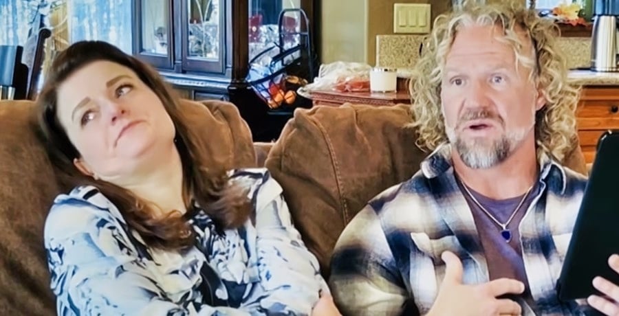 Robyn Brown, Kody Brown, Sister Wives, YouTube