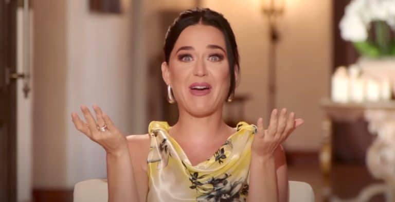 ‘American Idol’ Truth Behind Katy Perry’s Exit Revealed?