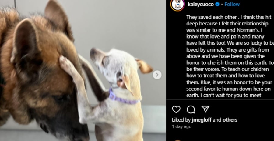 Kaley Cuoco is honored to have been Blue's second favorite. - Instagram