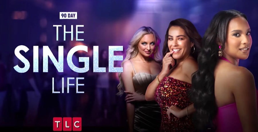 90 Day: The Single Life Promo-YouTube