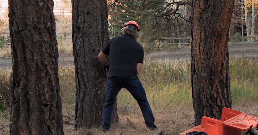 Kody Brown chose to be filmed chopping down a tree during Christine's Wedding Special. - Sister Wives