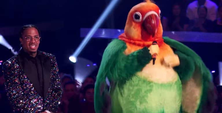 Who Is Lovebird On ‘The Masked Singer’: All The Clues & Hints
