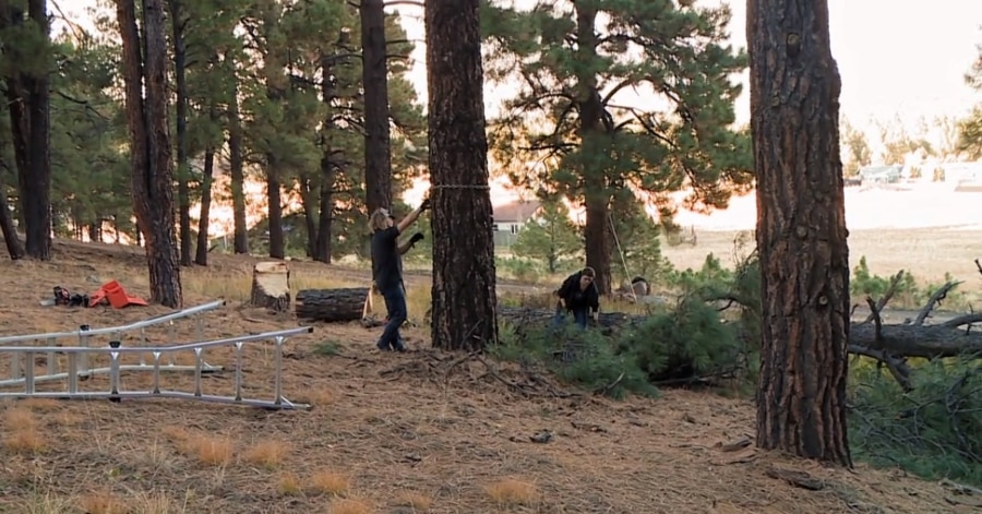 Robyn and Kody Brown cutting down trees during the Wedding Special. - Sister Wives