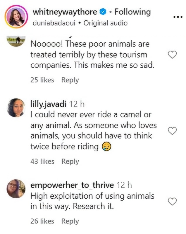 Whitney Way Thore Roasted For Ignoring Animal Cruelty - Instagram