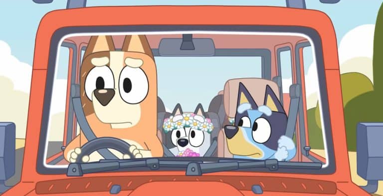 Bluey Season Finale Called Masterpiece, Has Parents In Tears