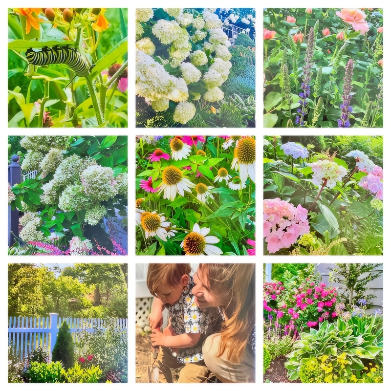 Golden Bachelor Theresa Nist Shares Her Garden - Instagram