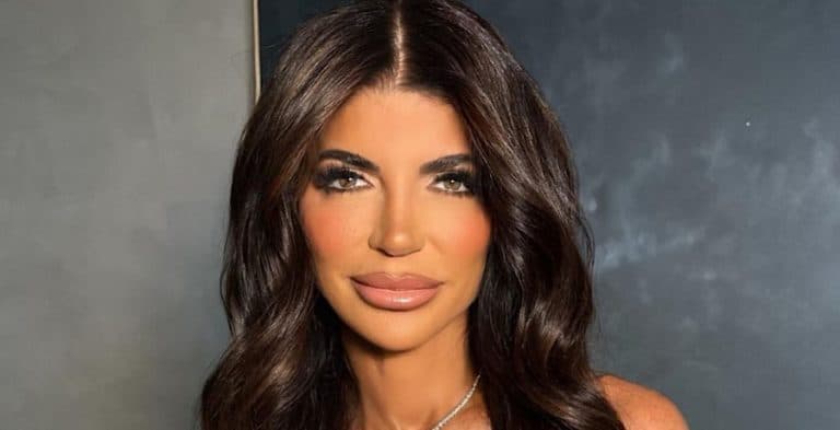 ‘RHONJ’ Teresa Giudice Cropped Out, Melissa Chimes In