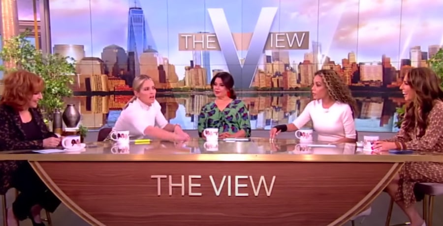 The View Panel-YouTube