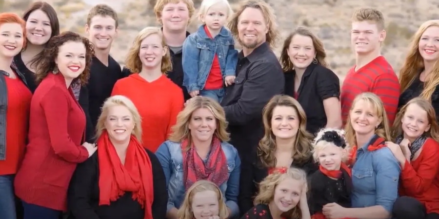 The Browns, Sister Wives