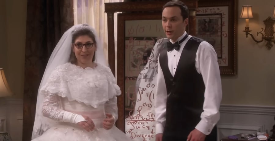 Jim Parsons and Mayim Bialil wedding from Big Bang Theory and Young Sheldon / YouTube